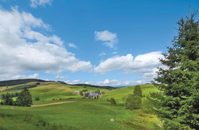DerWaldfrieden Naturparkhotel