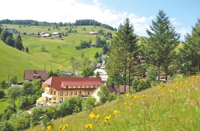 Naturparkhotel Grüner Baum