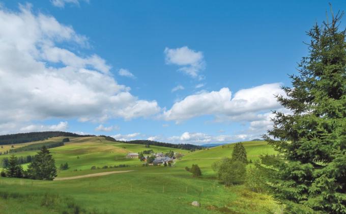 DerWaldfrieden Naturparkhotel