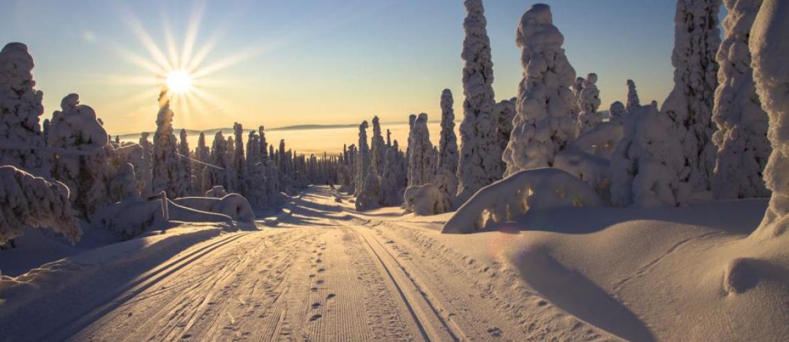 Lapland op zijn best Lapland op zijn best