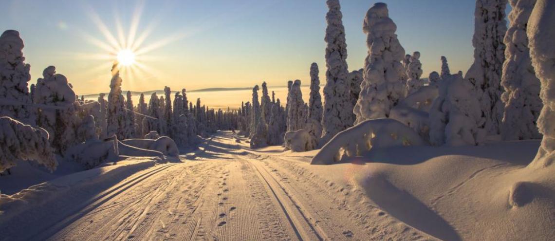 Lapland op zijn best