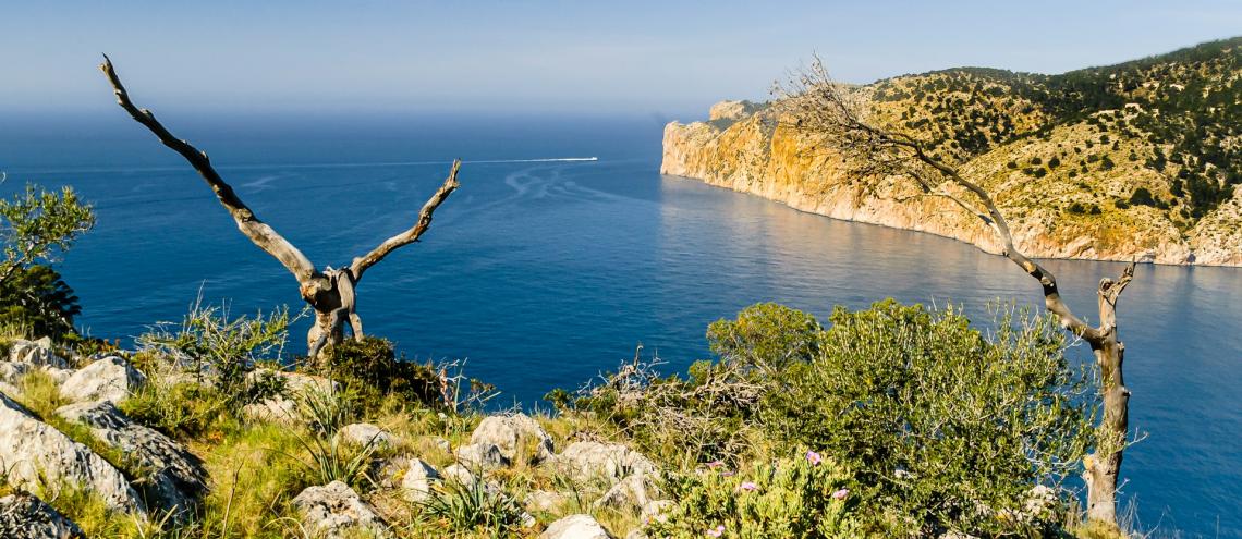 Vliegtickets Mallorca Vliegtickets Mallorca