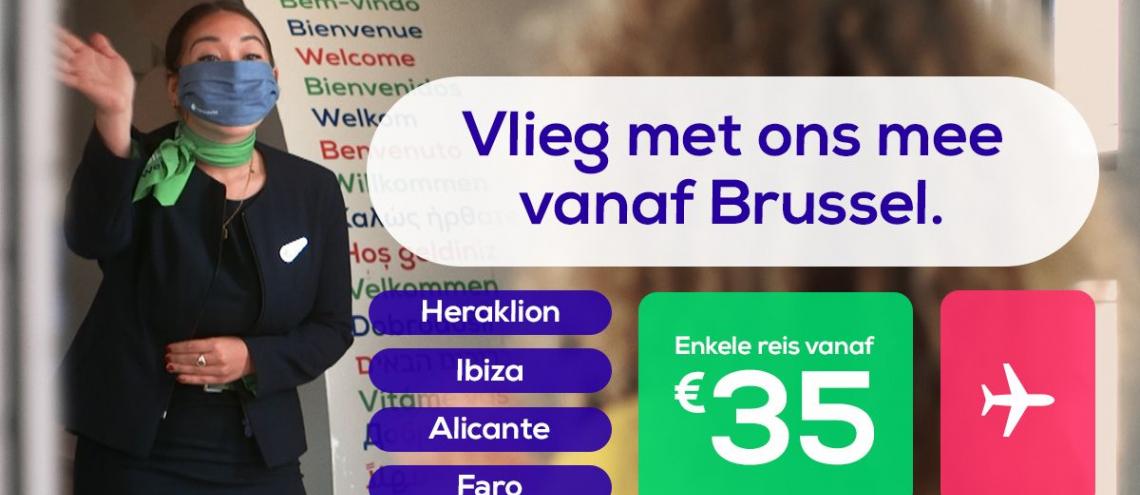 transavia vluchten brussel