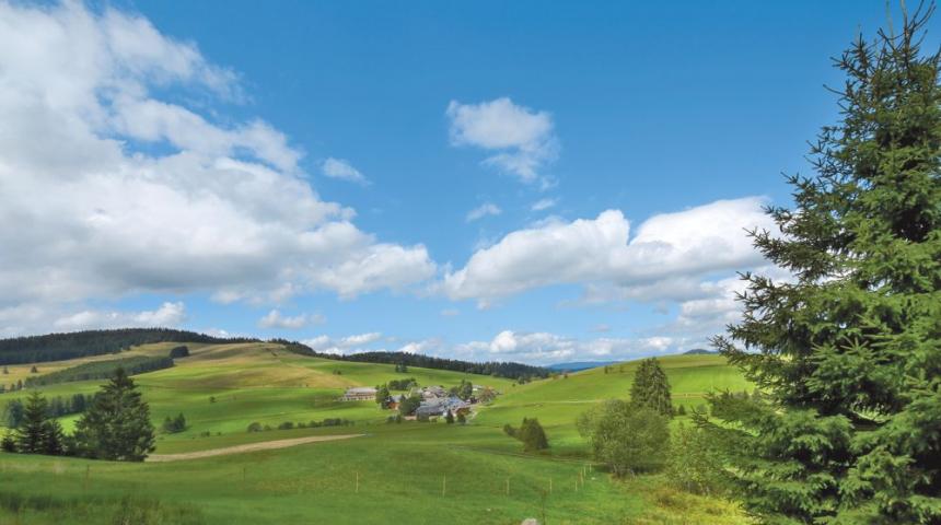 Derwaldfrieden Naturparkhotel