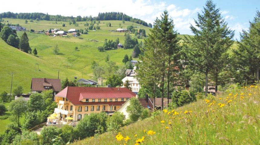 Vitalhotel Grüner Baum