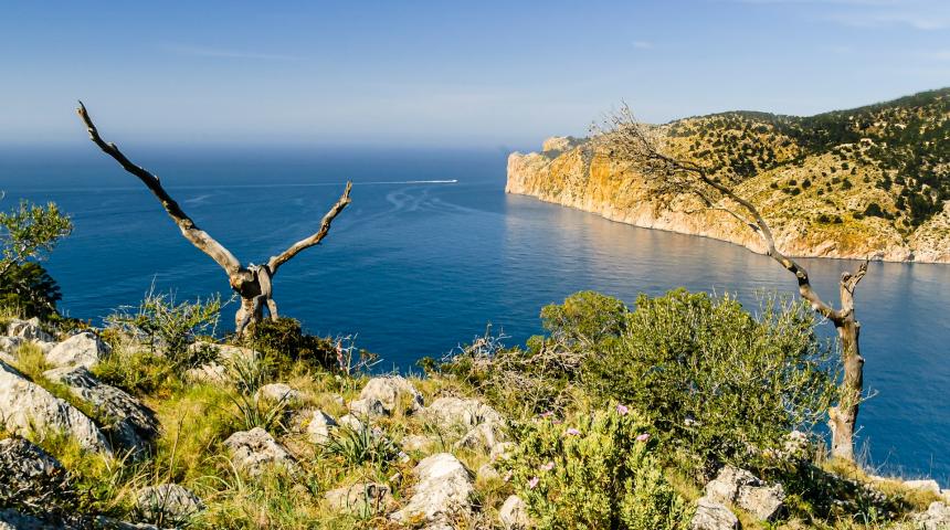 Vliegtickets Mallorca