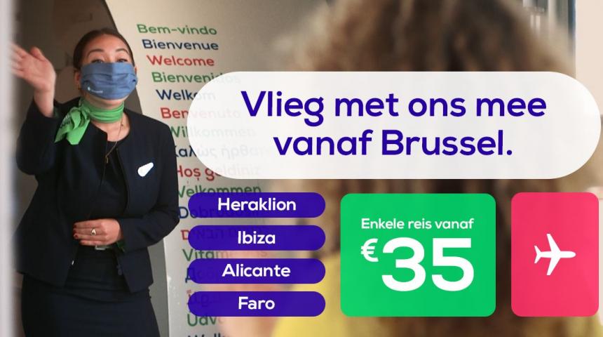 transavia vluchten brussel