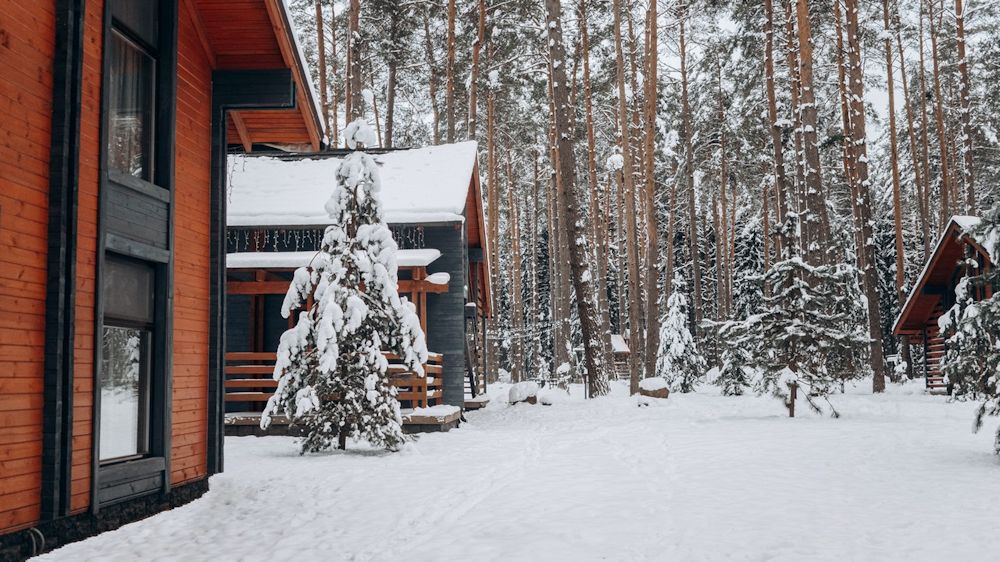 vakantiewoningen in een bos